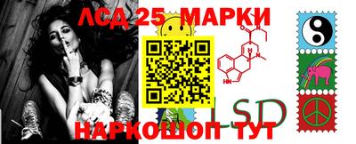 стафф Будённовск