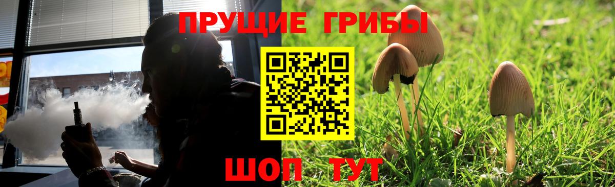 Псилоцибиновые грибы Cubensis  Галлюциногенные грибы Psilocybine cubensis  Вход с VPN  Чехов 